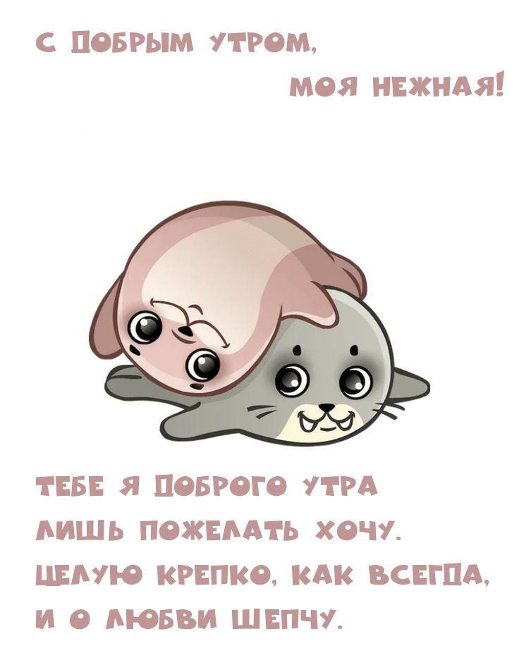 С добрым утром, моя нежная!