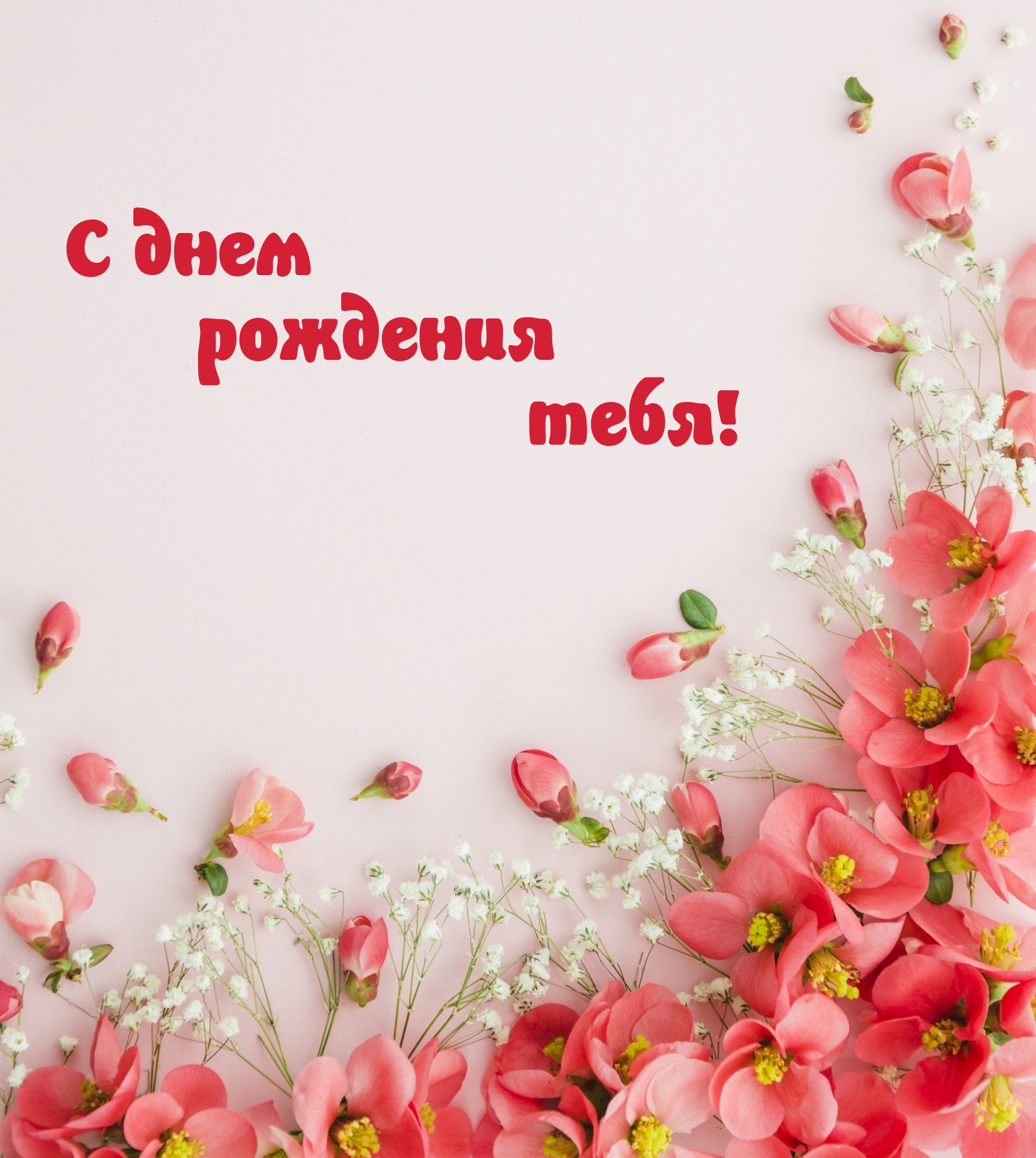 С днем рождения тебя!