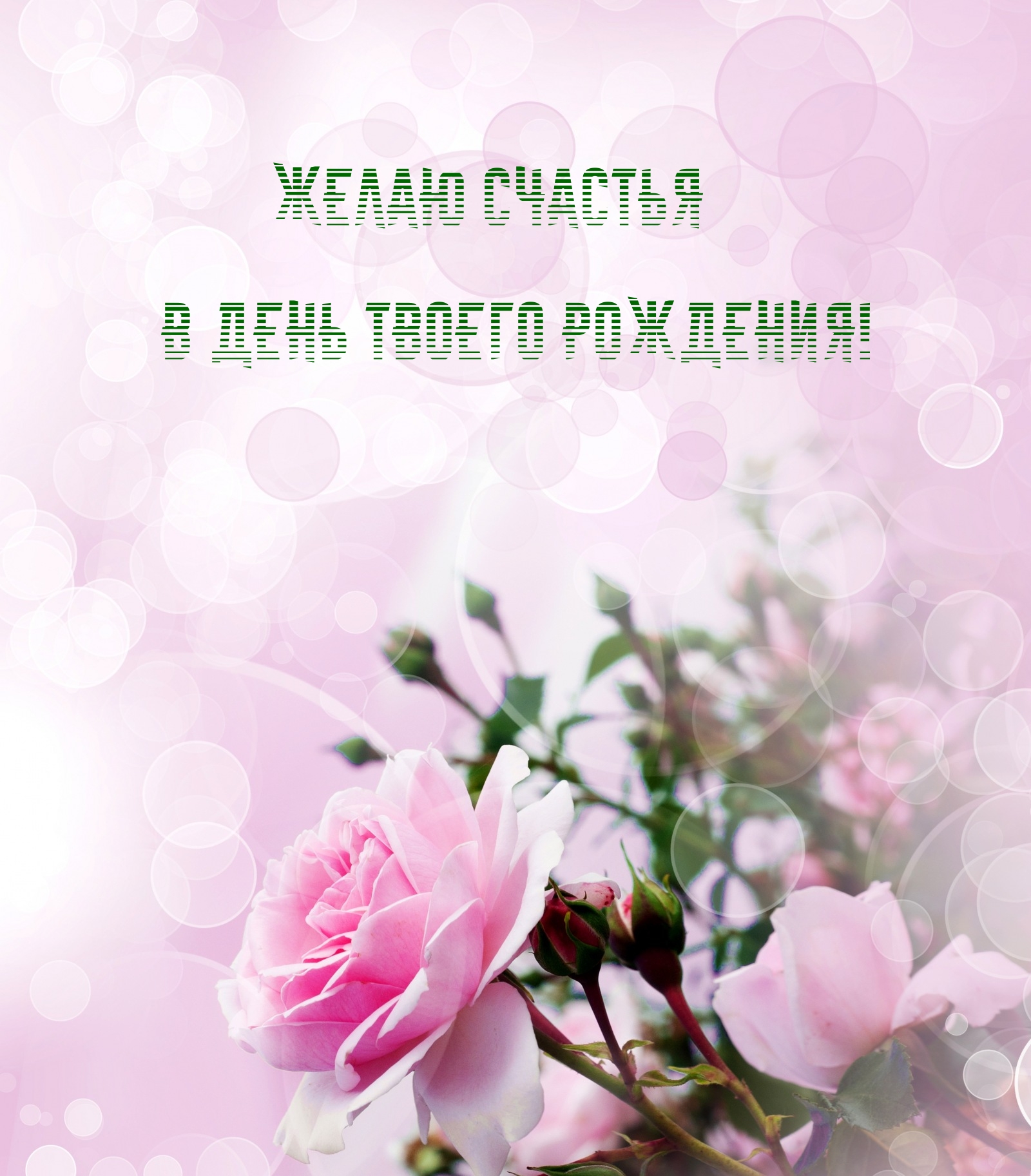 Желаю счастья в день твоего рождения!
