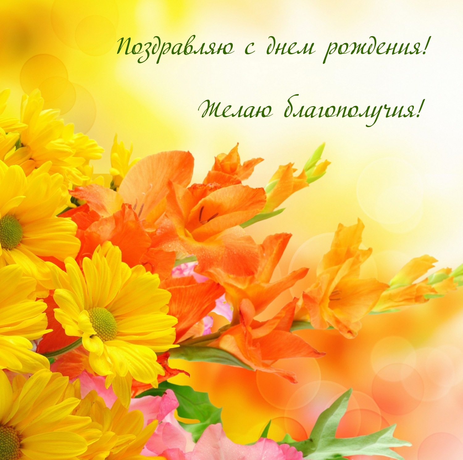 Поздравляю с днем рождения! Желаю благополучия!