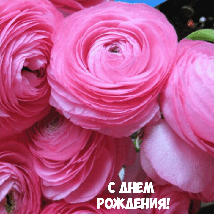 С днем рождения!