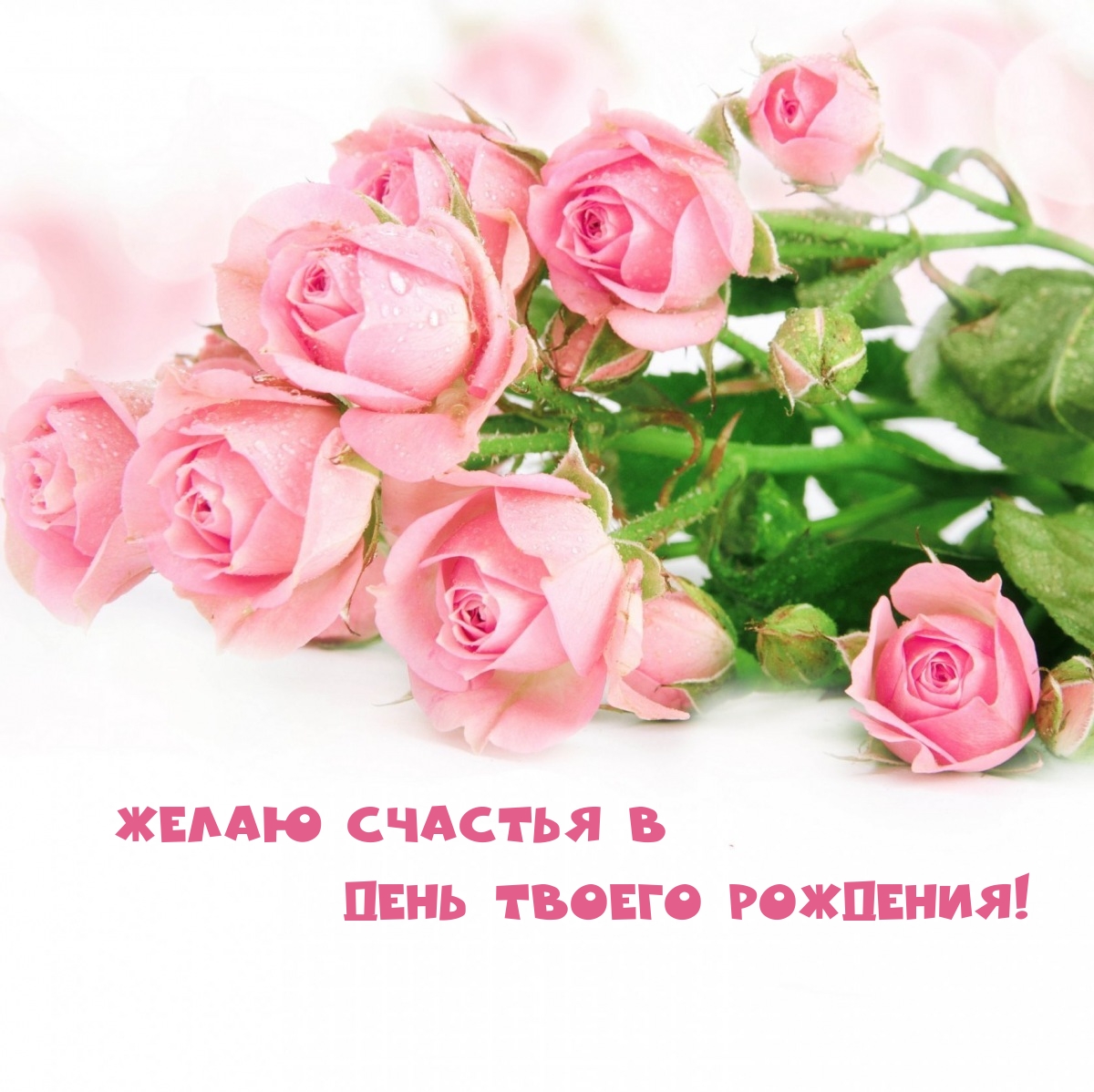 Желаю счастья в день твоего рождения!