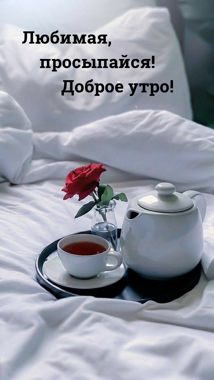 Любимая, просыпайся! Доброе утро! 