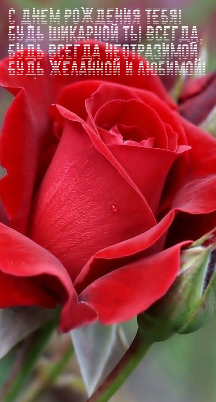 С днем рождения тебя! Будь шикарной ты всегда