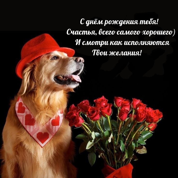 С днём рождения тебя! Счастья, всего самого хорошего)