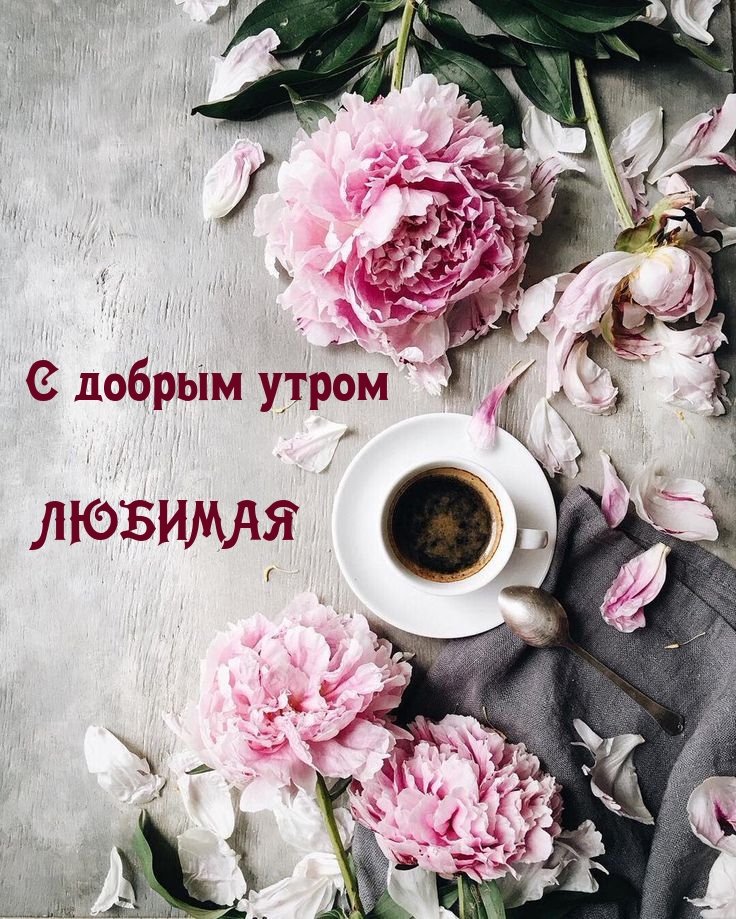 С добрым утром ЛЮБИМАЯ