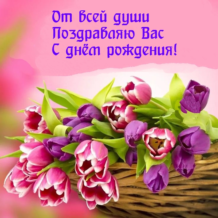 От всей души поздравляю вас с днём рождения!