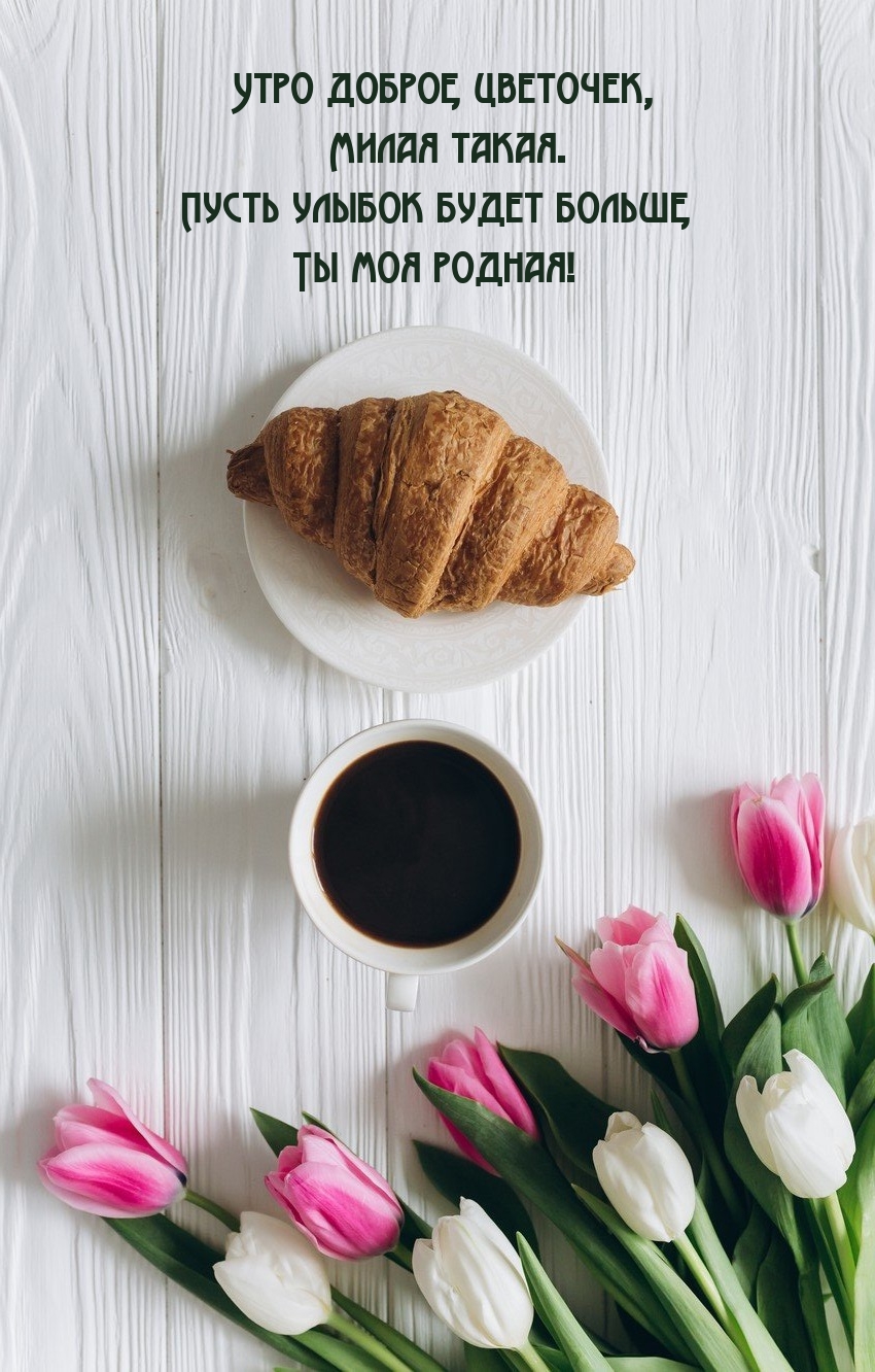 Утро доброе, цветочек, милая такая.