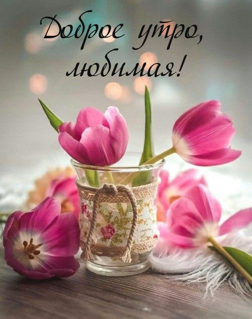 Доброе утро, любимая!