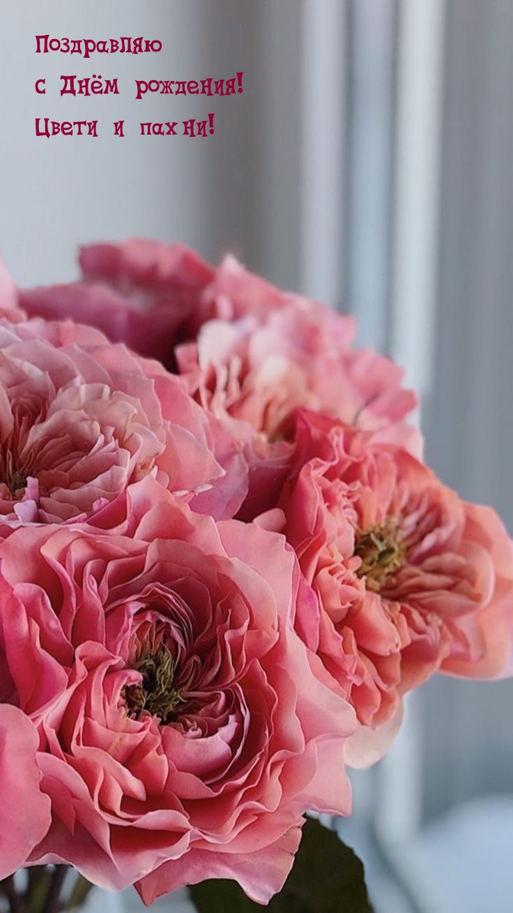 Поздравляю с Днём рождения! Цвети и пахни!