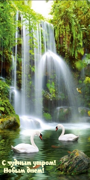 С чудным утром! Новым днем!