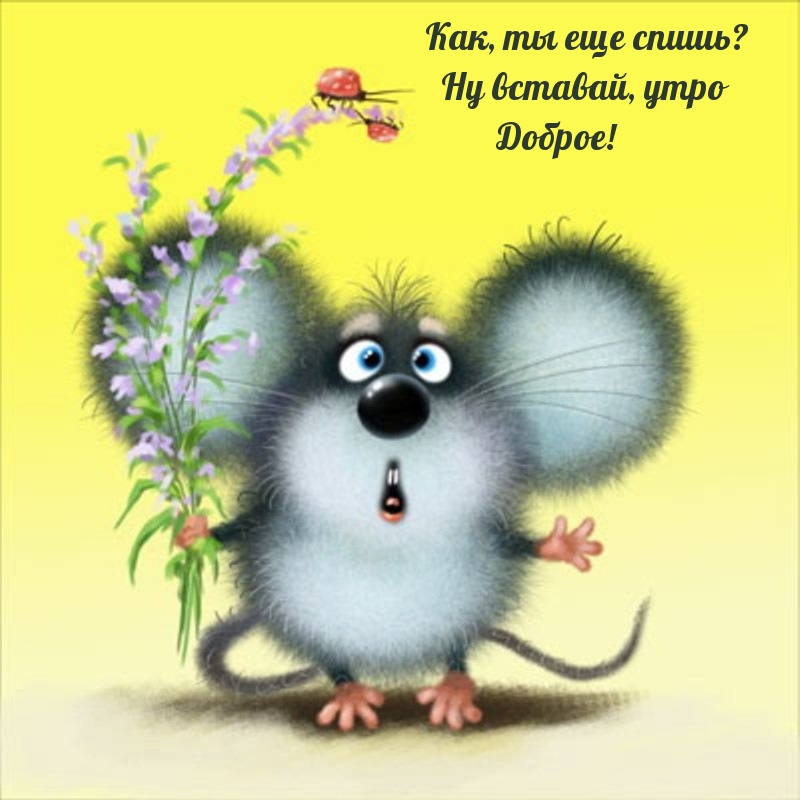 Как, ты еще спишь? Ну вставай, утро Доброе!