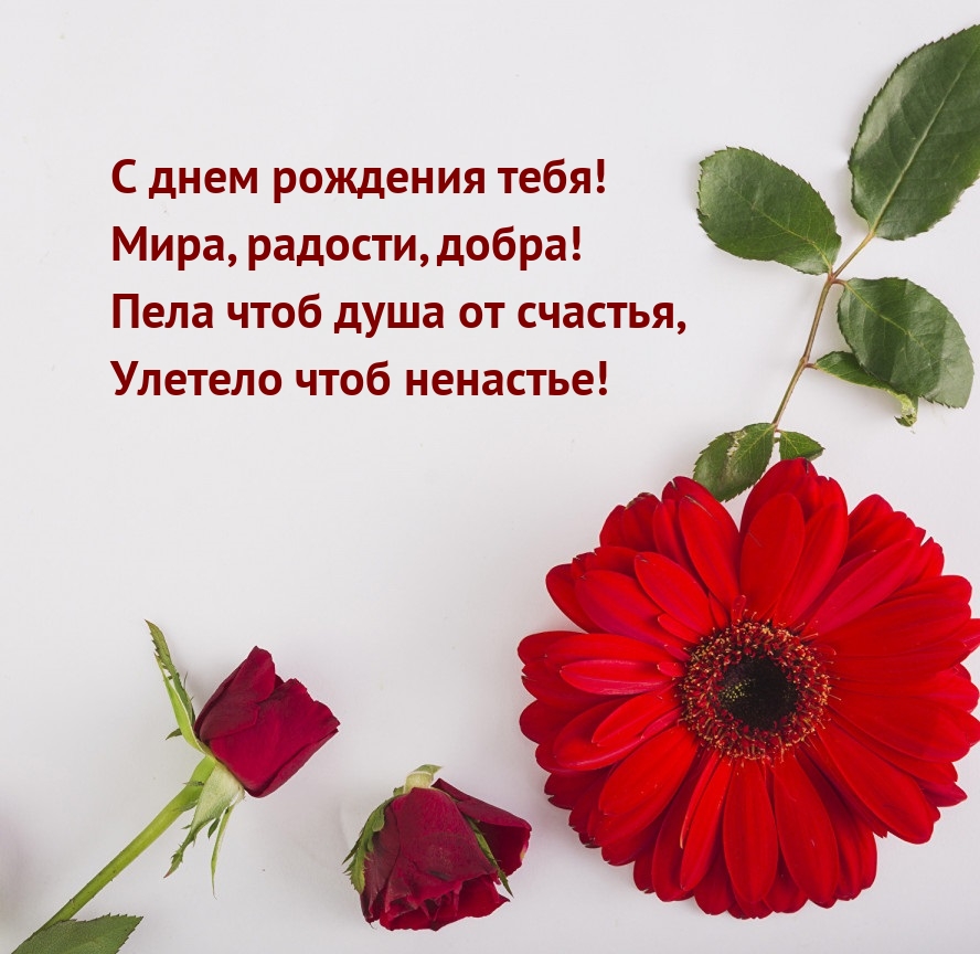 С днем рождения тебя! Мира, радости, добра!
