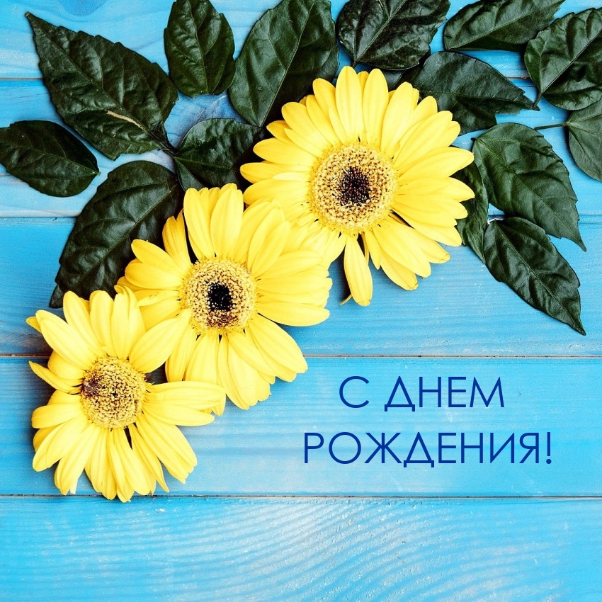 С днем рождения! 