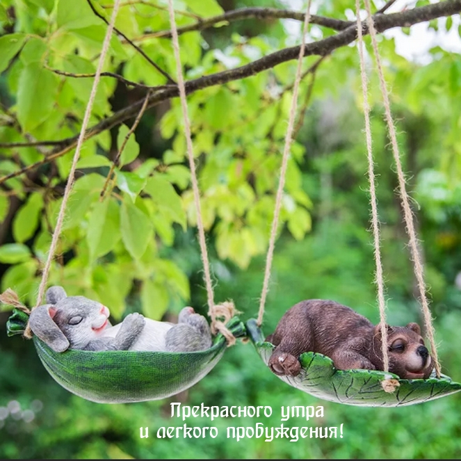 Прекрасного утра и легкого пробуждения!