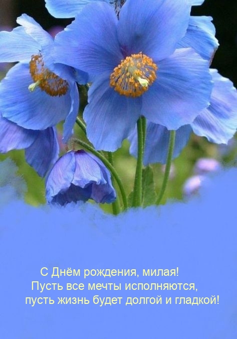 С Днём рождения, милая! Пусть все мечты исполняются