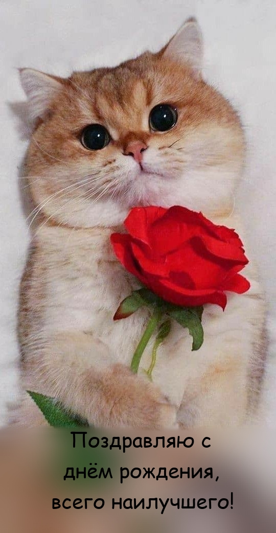 Поздравляю с днём рождения, всего наилучшего! 