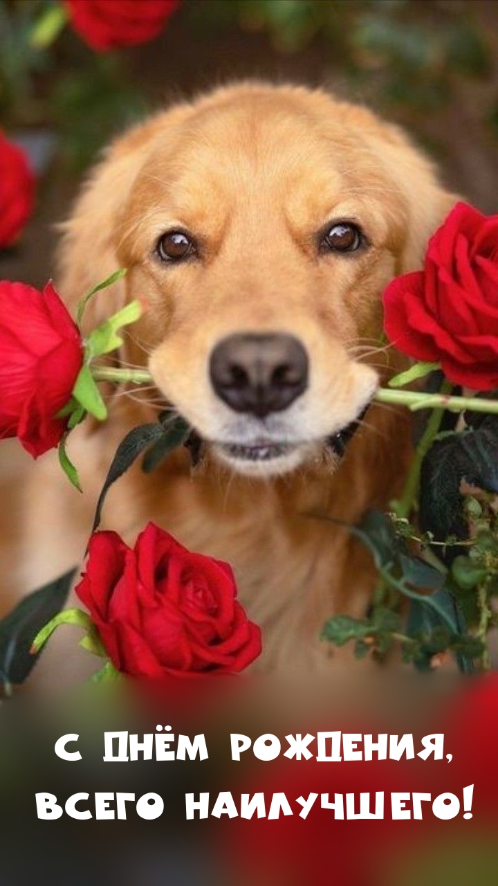 С днём рождения, всего наилучшего! 