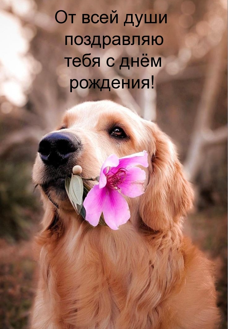 От всей души поздравляю тебя с днём рождения!