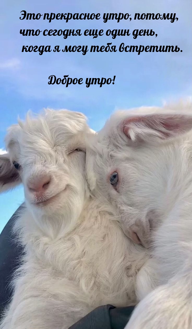 Это прекрасное утро, потому, что сегодня еще один день