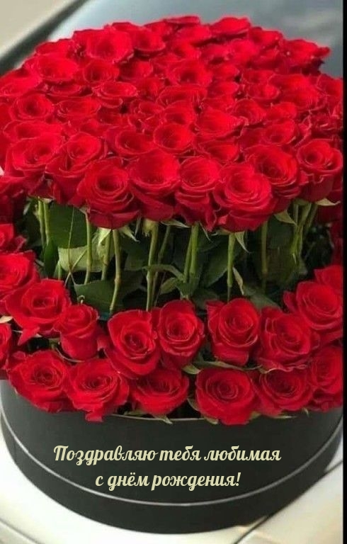 Поздравляю тебя любимая с днём рождения!