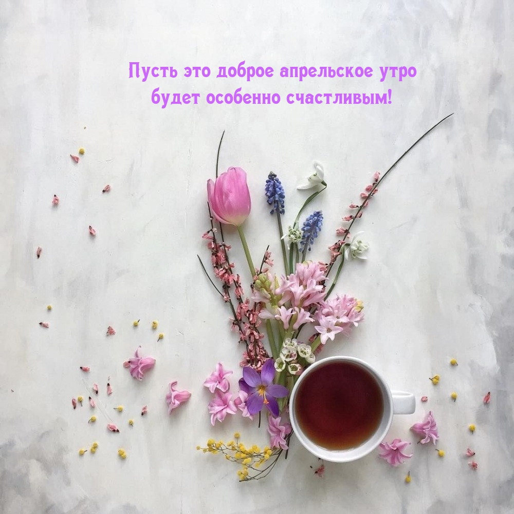 Пусть это доброе апрельское утро будет особенно счастливым! 