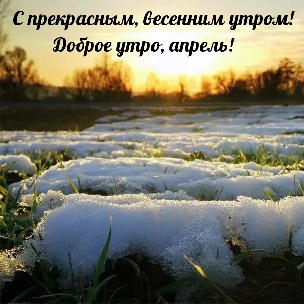 С прекрасным, весенним утром! Доброе утро, апрель! 