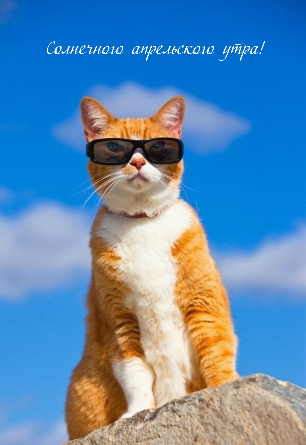 Солнечного апрельского утра!