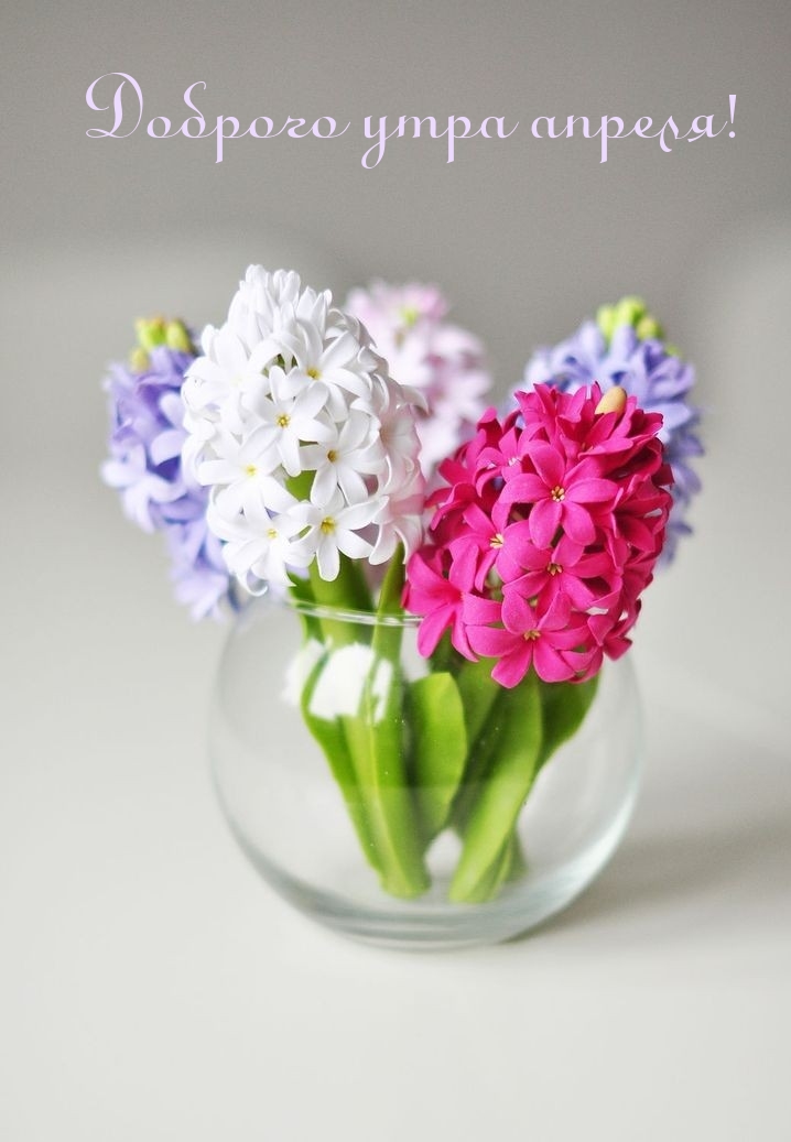 Доброго утра апреля!