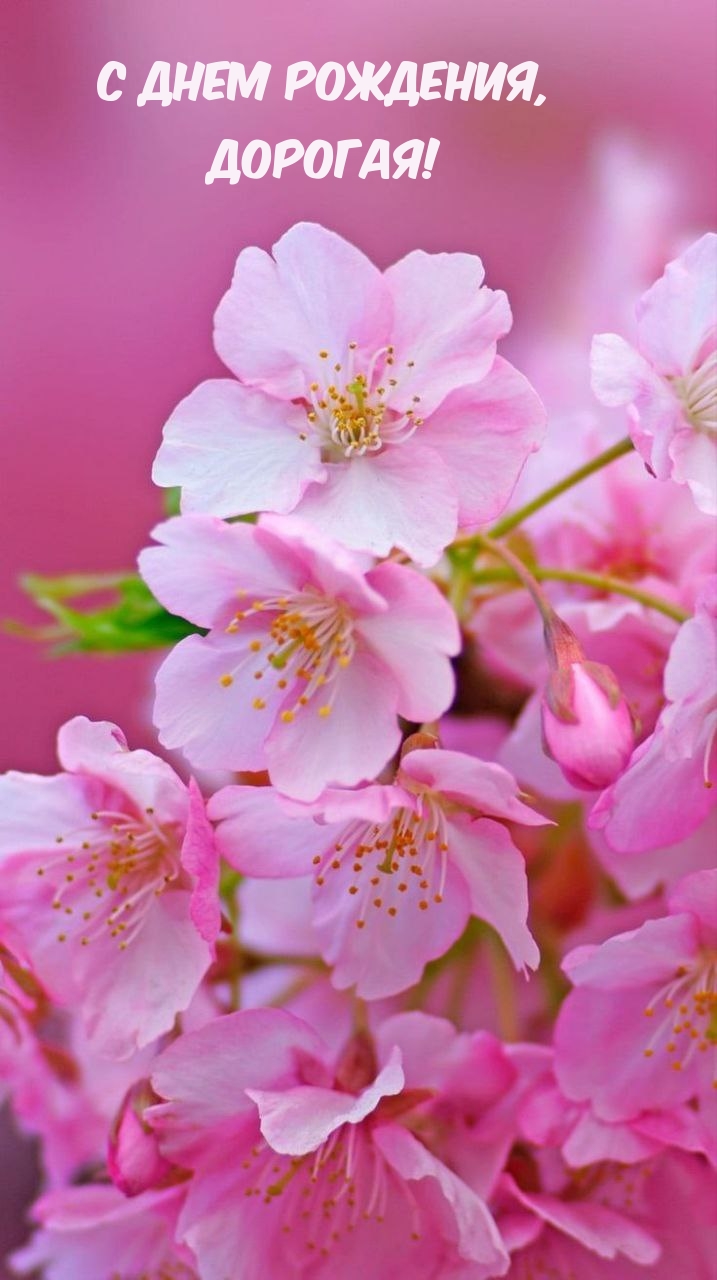С днем рождения, Дорогая!