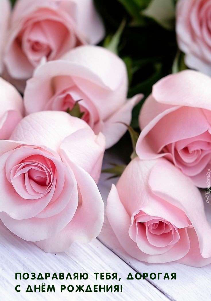 Поздравляю тебя, дорогая с днём рождения!
