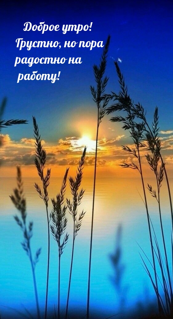 Доброе утро! Грустно, но пора радостно на работу! 