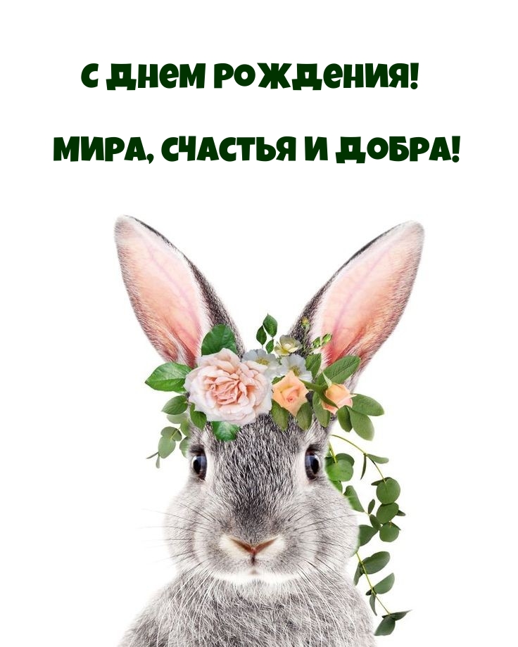 С Днем Рождения! Мира, счастья и добра!