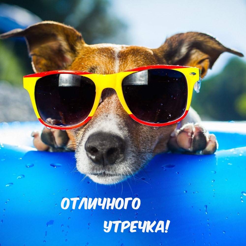 Отличного Утречка!