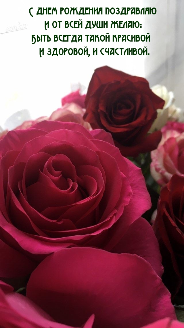 С днем рождения поздравляю Быть всегда такой красивой