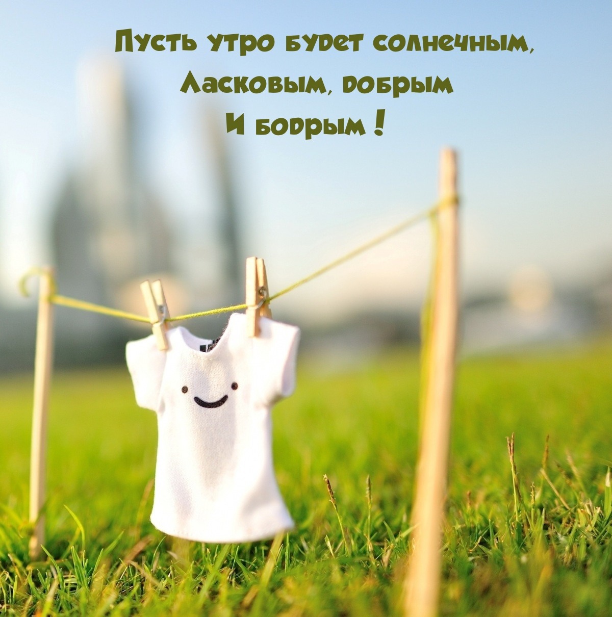 Пусть утро будет солнечным, ласковым, добрым и бодрым!