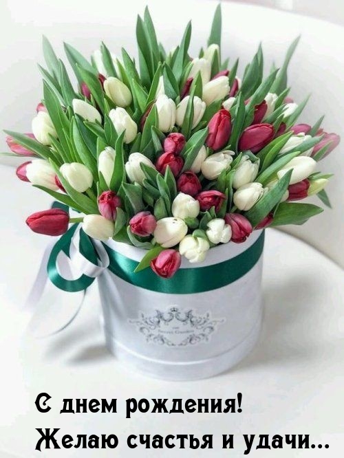 С днем рождения! Желаю счастья и удачи... 