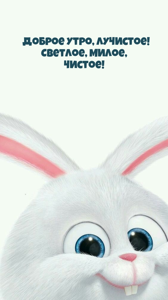 Доброе утро, лучистое! Светлое, милое, Чистое!