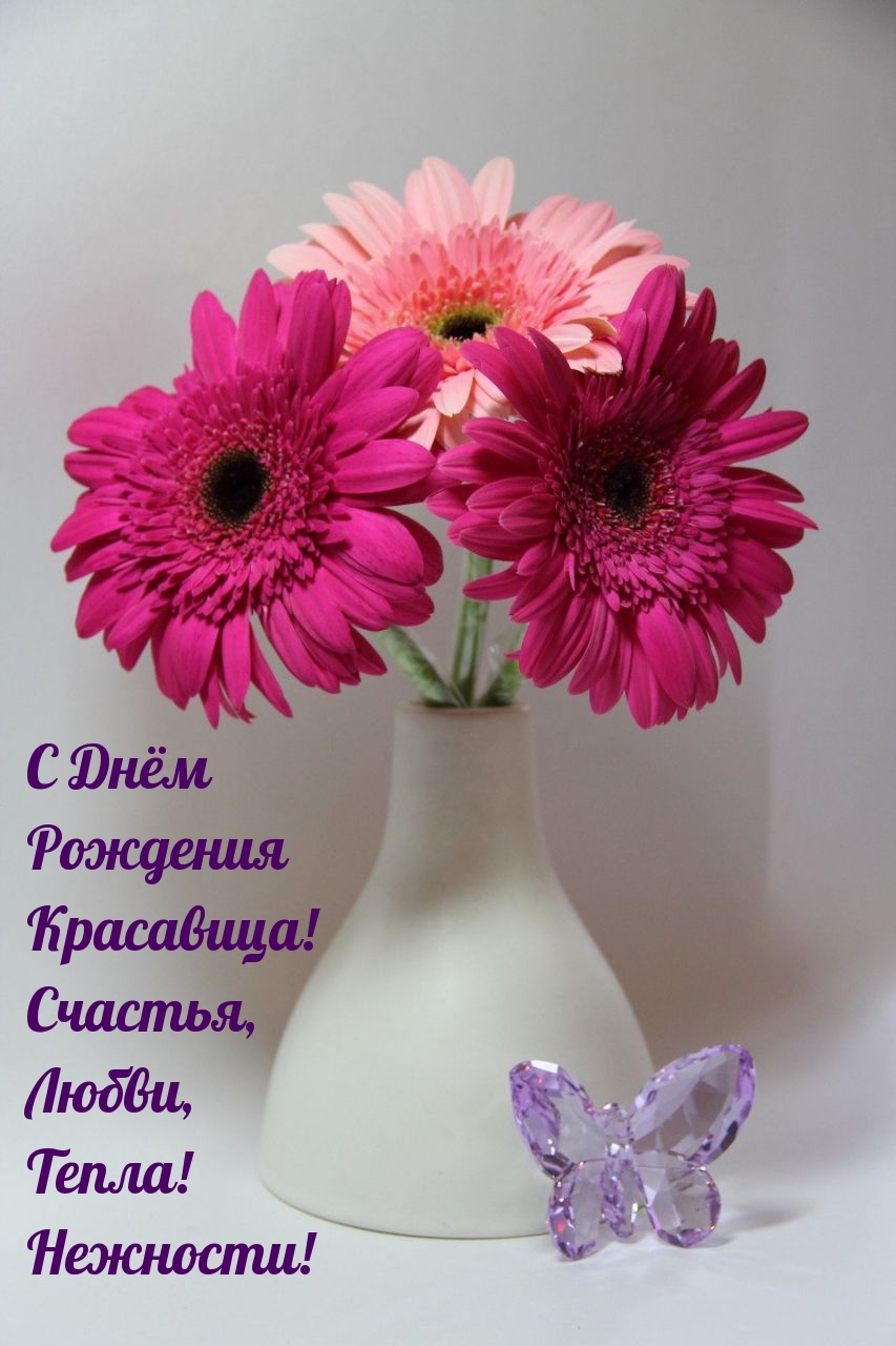 С Днём Рождения Красавица! Счастья, Любви, Тепла! Нежности!