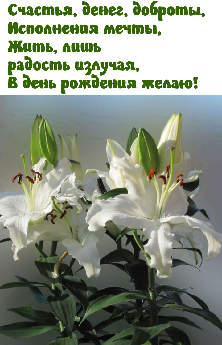 Счастья, денег, доброты, исполнения мечты