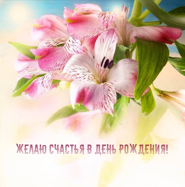 Желаю счастья в день рождения!