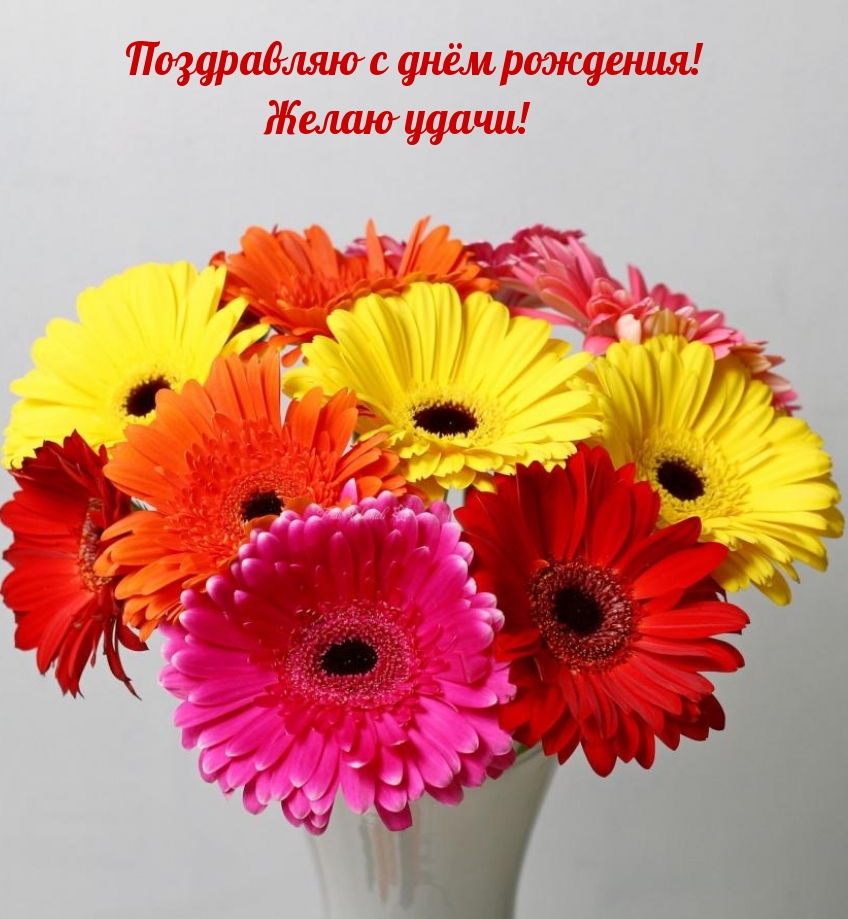 Поздравляю с днём рождения! Желаю удачи!
