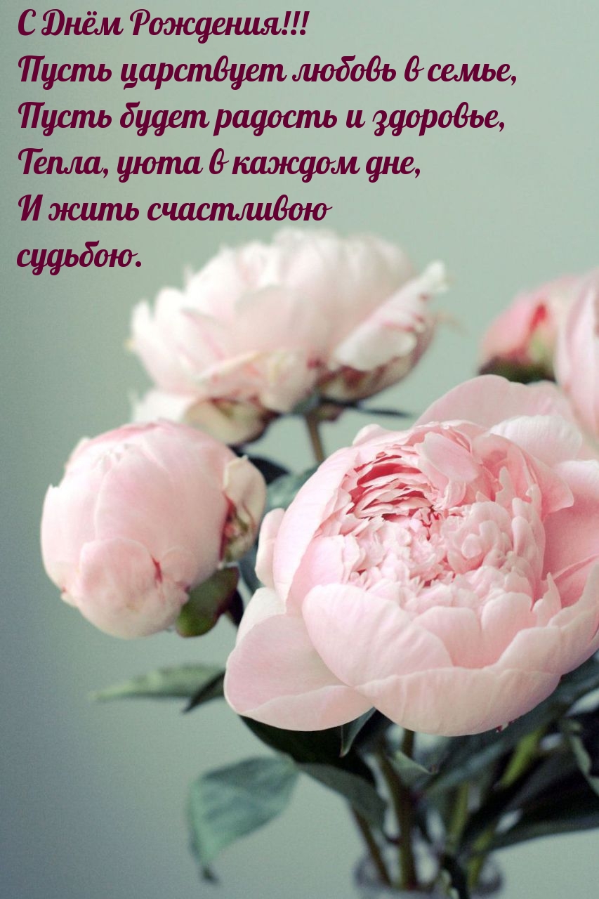 С Днём Рождения! Пусть царствует любовь в семье