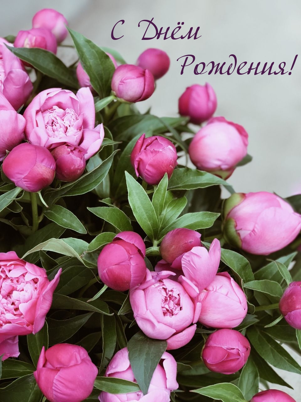 С Днём Рождения!