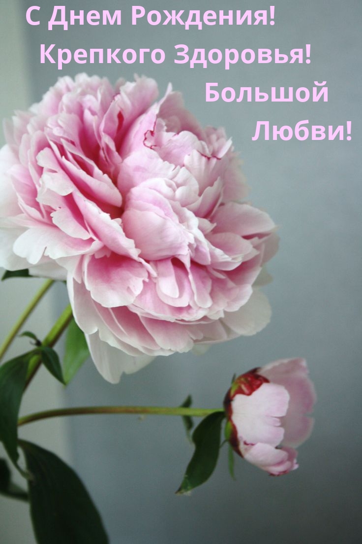 С Днем Рождения! Крепкого Здоровья! Большой Любви!
