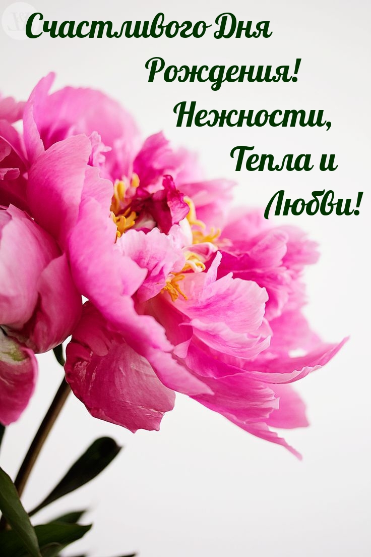 Счастливого Дня Рождения! Нежности, Тепла и Любви!
