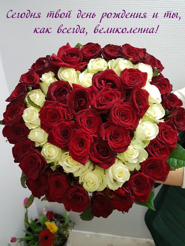 Сегодня твой день рождения и ты, как всегда, великолепна!