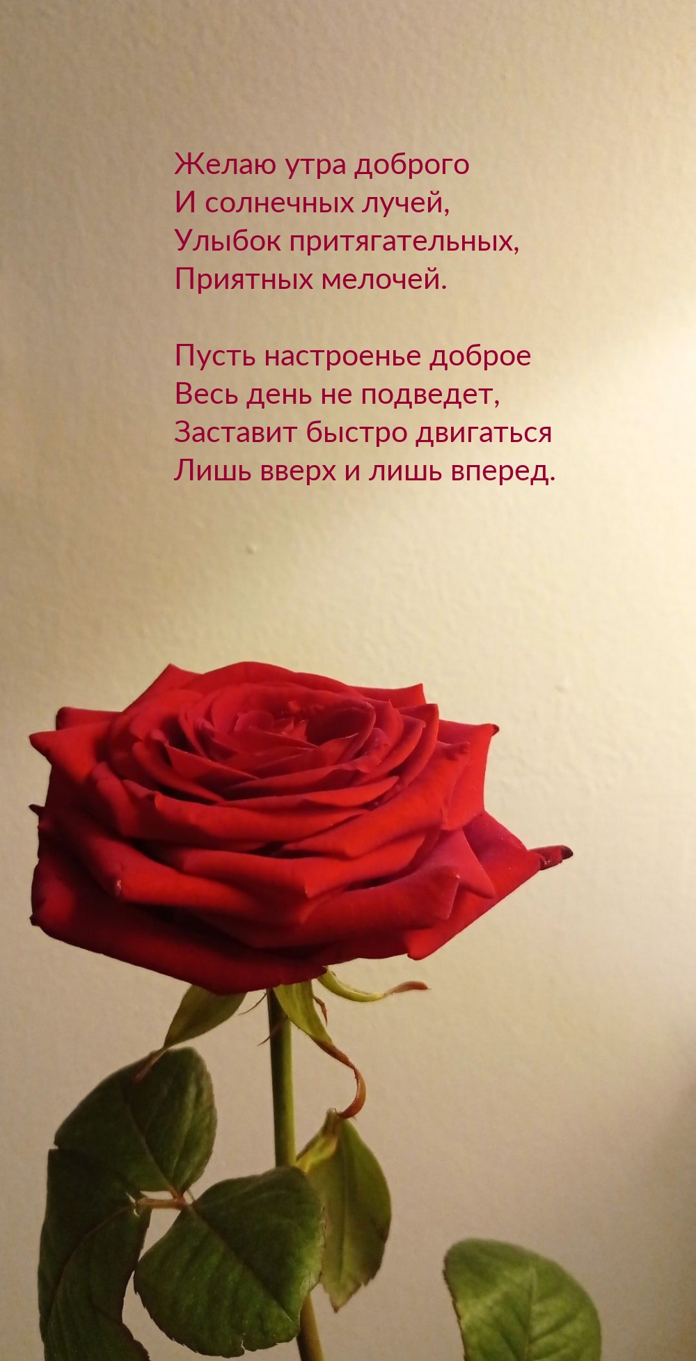 Желаю утра доброго и солнечных лучей