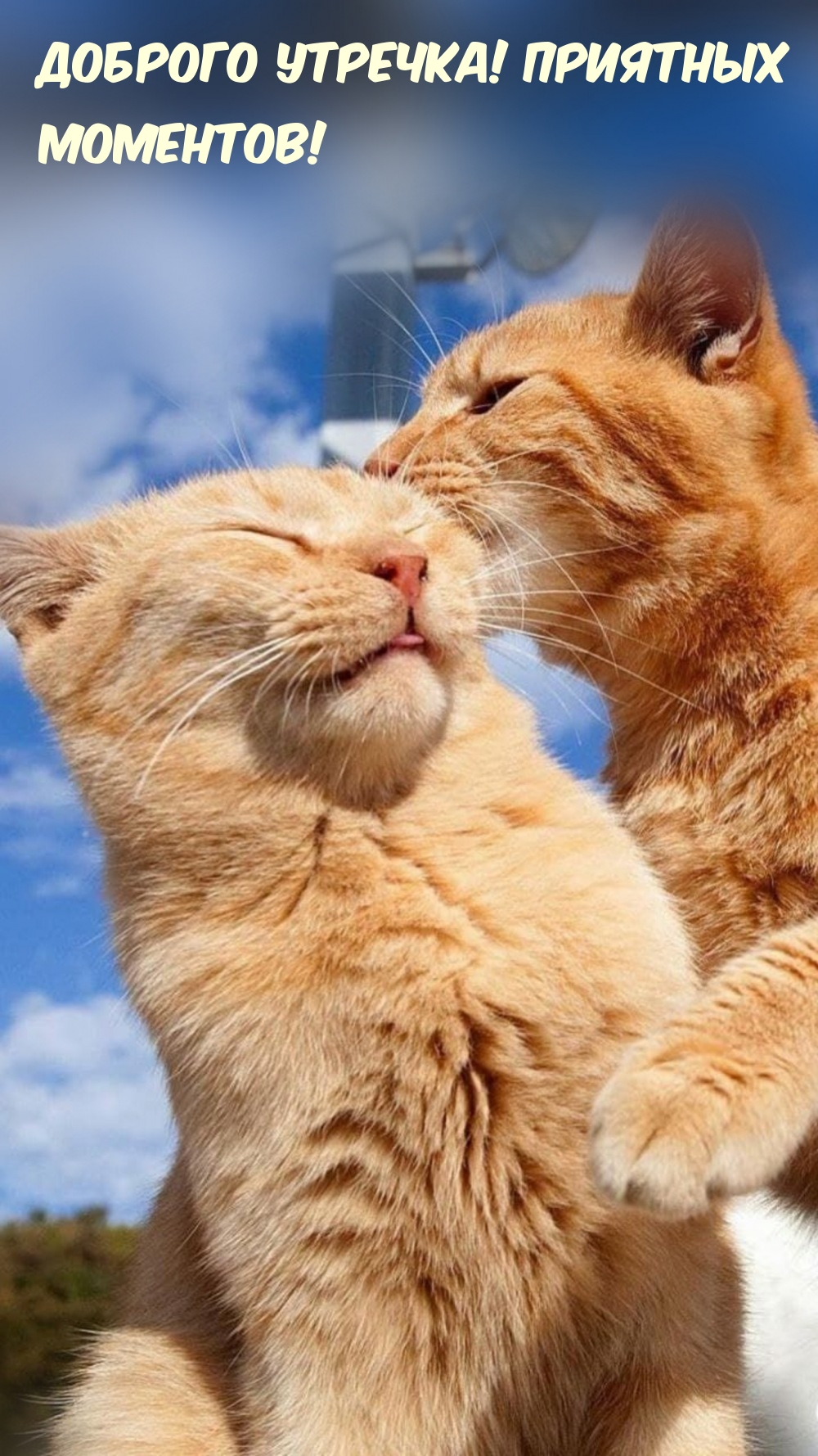 Доброго утречка! Приятных моментов! 