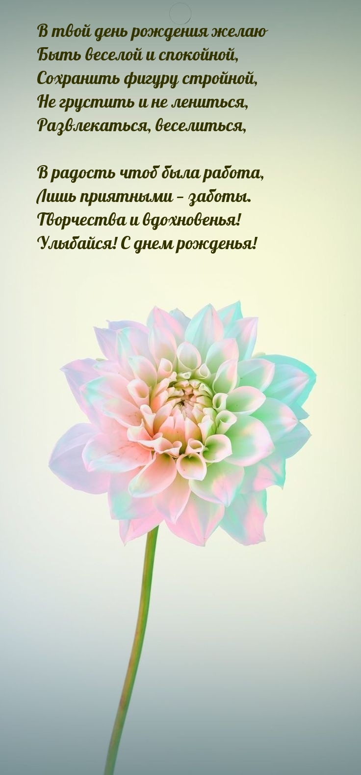В твой день рождения желаю быть веселой и спокойной